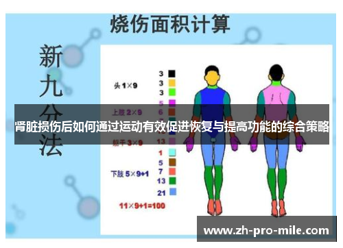 肾脏损伤后如何通过运动有效促进恢复与提高功能的综合策略 肾脏损伤后如何通过运动有效促进恢复与提高功能的综合策略