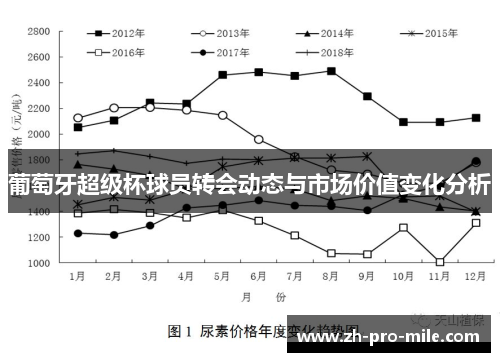 葡萄牙超级杯球员转会动态与市场价值变化分析