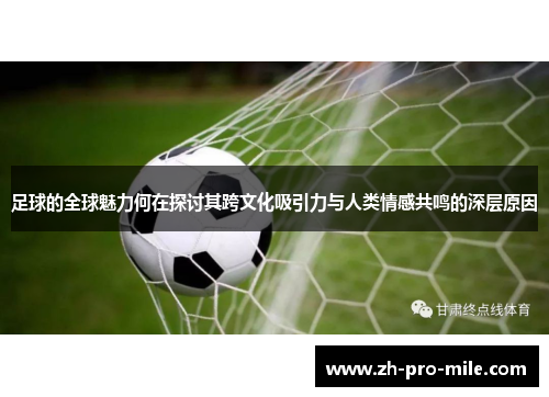 足球的全球魅力何在探讨其跨文化吸引力与人类情感共鸣的深层原因