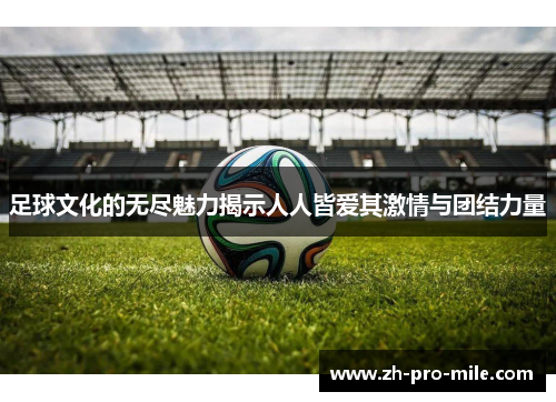 足球文化的无尽魅力揭示人人皆爱其激情与团结力量