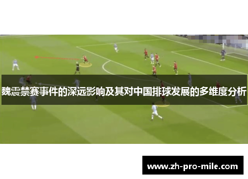魏震禁赛事件的深远影响及其对中国排球发展的多维度分析 魏震禁赛事件的深远影响及其对中国排球发展的多维度分析