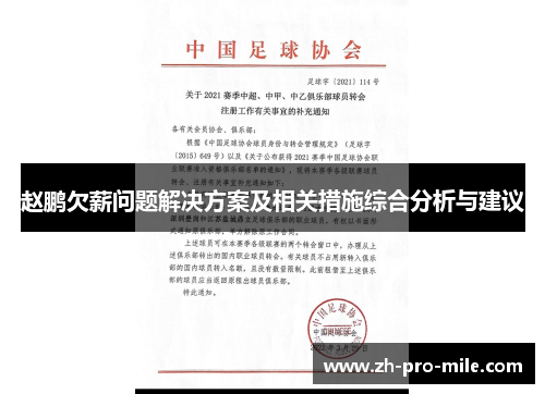 赵鹏欠薪问题解决方案及相关措施综合分析与建议 赵鹏欠薪问题解决方案及相关措施综合分析与建议