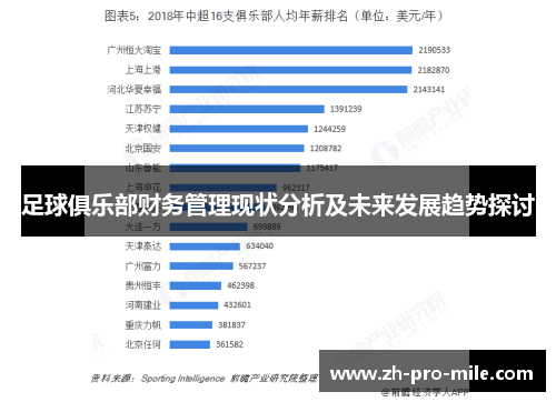 足球俱乐部财务管理现状分析及未来发展趋势探讨