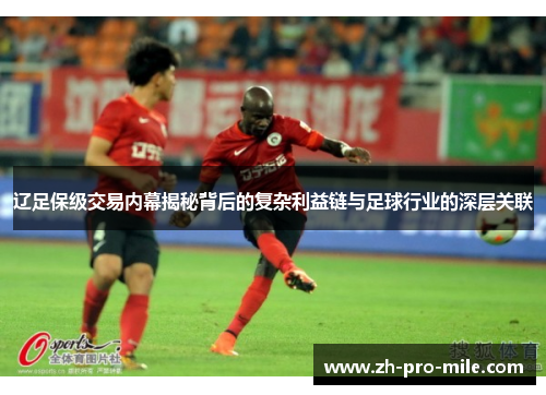 辽足保级交易内幕揭秘背后的复杂利益链与足球行业的深层关联 辽足保级交易内幕揭秘背后的复杂利益链与足球行业的深层关联